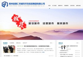 镇宁城市开发投资集团有限公司